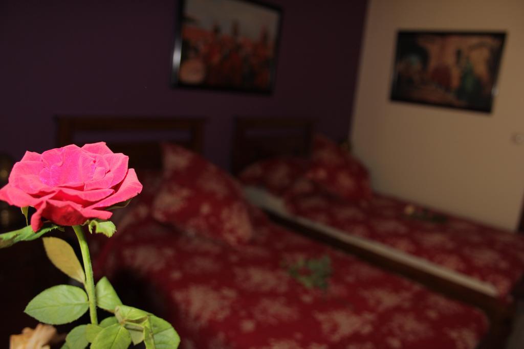 Riad Mimosa Fez Zewnętrze zdjęcie